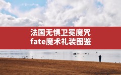 法国无惧卫冕魔咒,fate魔术礼装图鉴