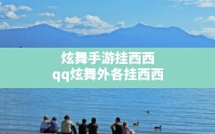 炫舞手游挂西西(qq炫舞外各挂西西)