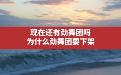 现在还有劲舞团吗,为什么劲舞团要下架