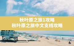 秋叶原之旅1攻略,秋叶原之旅中文支线攻略