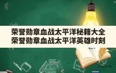 荣誉勋章血战太平洋秘籍大全,荣誉勋章血战太平洋英雄时刻