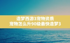 造梦西游3宠物资质(宠物怎么升90级最快造梦3)