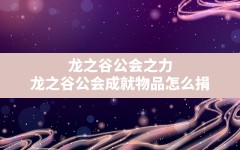 龙之谷公会之力,龙之谷公会成就物品怎么捐