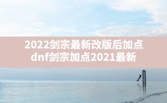 2022剑宗最新改版后加点(dnf剑宗加点2021最新)