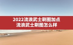 2022流浪武士刷图加点,流浪武士刷图怎么样