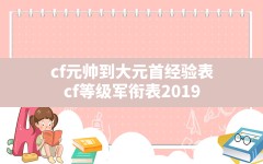 cf元帅到大元首经验表(cf等级军衔表2019)