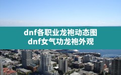 dnf各职业龙袍动态图(dnf女气功龙袍外观)