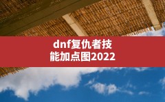 dnf复仇者技能加点图2022(地下城与勇士复仇者技能加点)