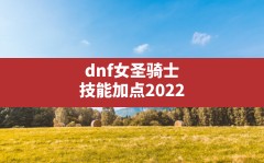 dnf女圣骑士技能加点2022,dnf95圣骑士审判加点