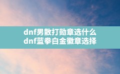 dnf男散打勋章选什么,dnf蓝拳白金徽章选择