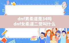 dnf男柔道是34吗,dnf女柔道二觉叫什么