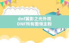 dnf翼影之光外观,DNF所有图领主粉