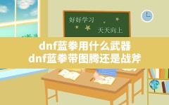 dnf蓝拳用什么武器(dnf蓝拳带图腾还是战斧)