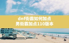 dnf街霸如何加点,男街霸加点110版本