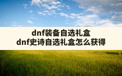 dnf装备自选礼盒,dnf史诗自选礼盒怎么获得