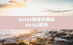 dota2移除完美码(dota2昵称强制变成一串数字)