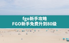 fgo新手攻略(FGO新手免费升到80级)