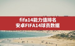 fifa14能力值排名(安卓FIFA14球员数据)