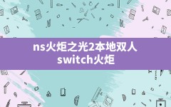 ns火炬之光2本地双人(switch火炬之光2怎么设置中文)