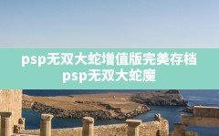 psp无双大蛇增值版完美存档,psp无双大蛇魔王再临增值版攻略