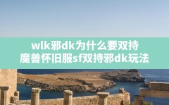 wlk邪dk为什么要双持(魔兽怀旧服sf双持邪dk玩法)