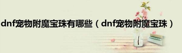 dnf首饰属强宝珠(dnf所有属性强化35属强宝珠)