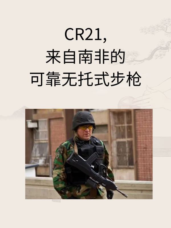 中国21式步枪,QSZ21型步枪图片